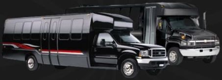 Two buses are parked next to each other on a black background