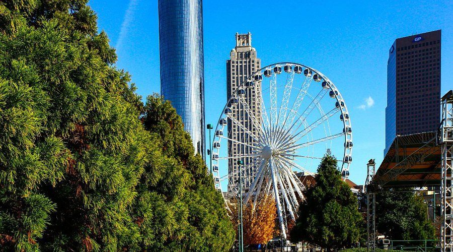 There is a ferris wheel in the middle of the city surrounded by trees.