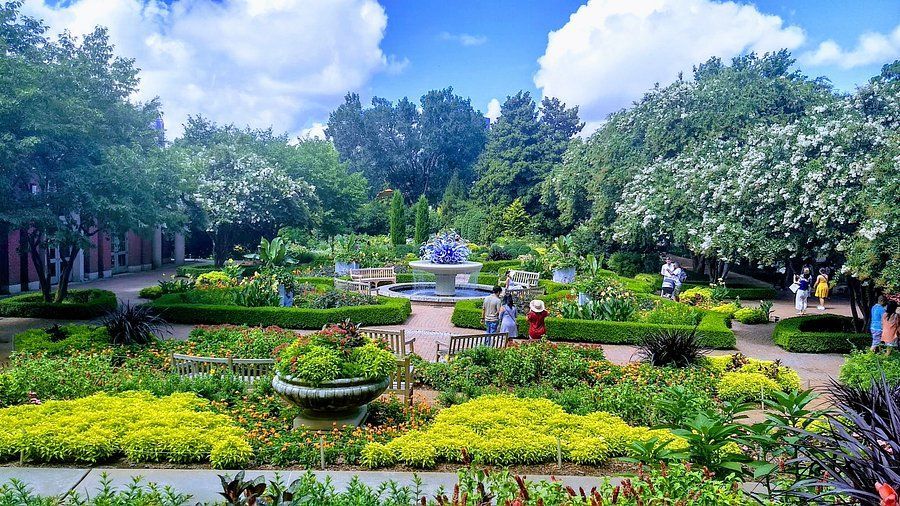 A garden with lots of flowers and trees and a fountain in the middle.