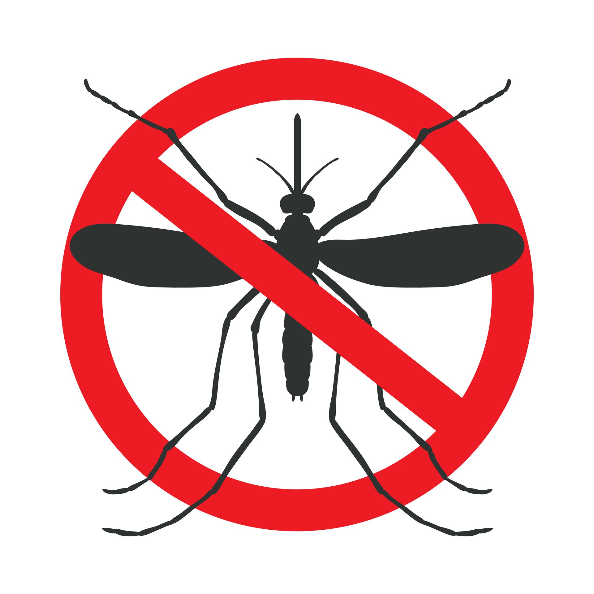 Red circle with a line through a silhouette of a mosquito, indicating no mosquitoes.
