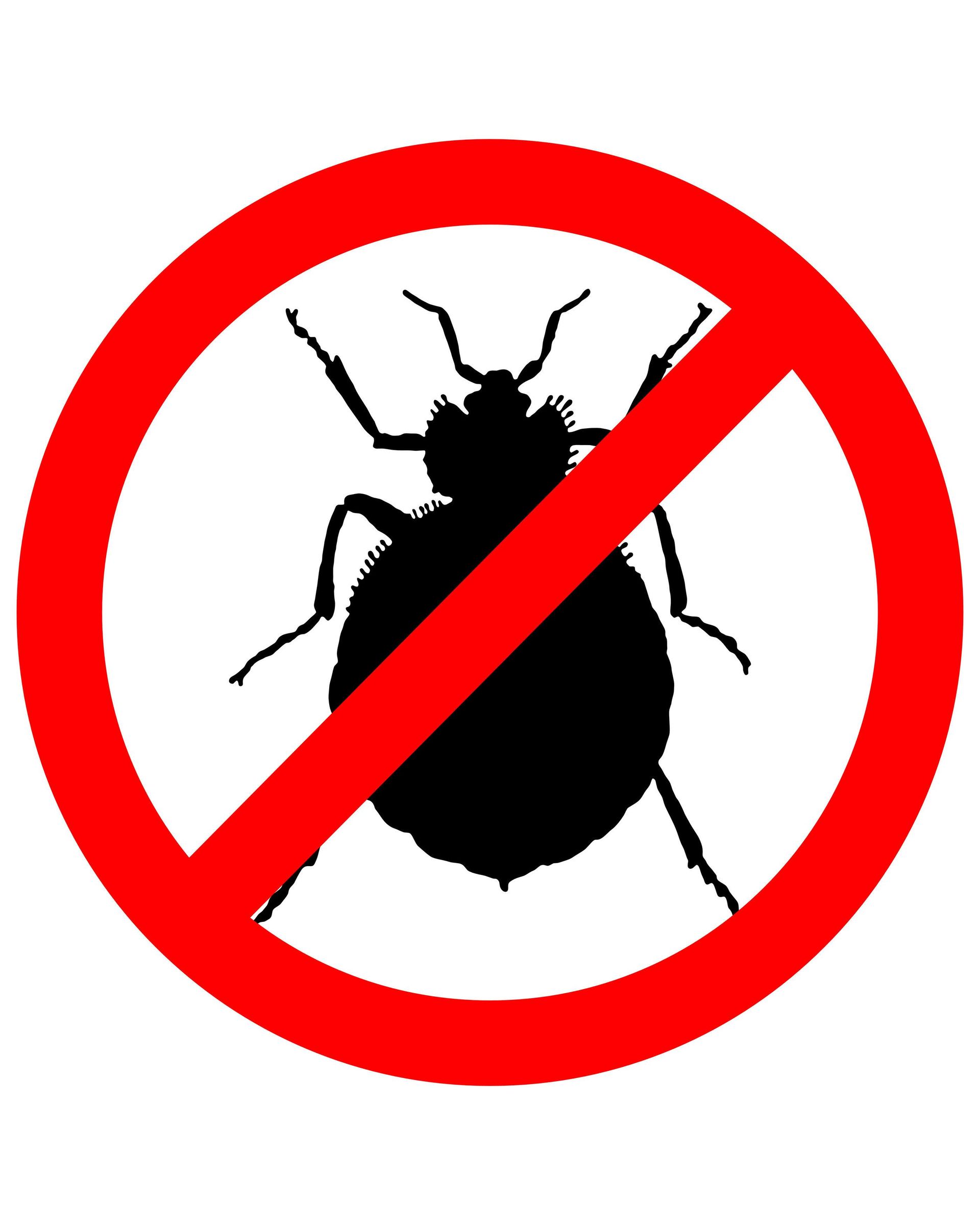 Red circle with diagonal slash over a black silhouette of a bed bug, indicating