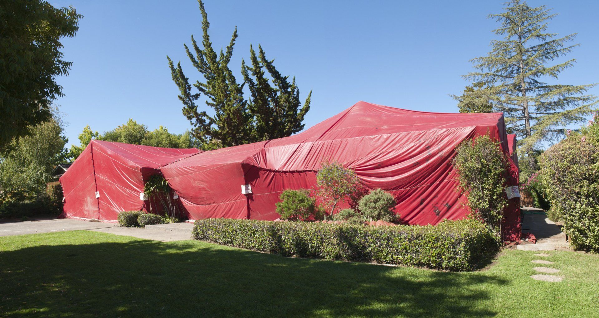 Commercial Fumigation Service — Newburgh, IN — Pass Pest Control Commercial Fumigation Service — Newburgh, IN — Pass Pest Control