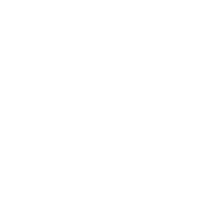 Bedbug Treatment