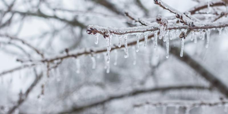 Winter Season — Newburgh, IN — Pass Pest Control Winter Season — Newburgh, IN — Pass Pest Control