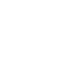 Termite Control