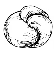 Black-and-white sketch of a braided, twisted knot or pastry-like shape