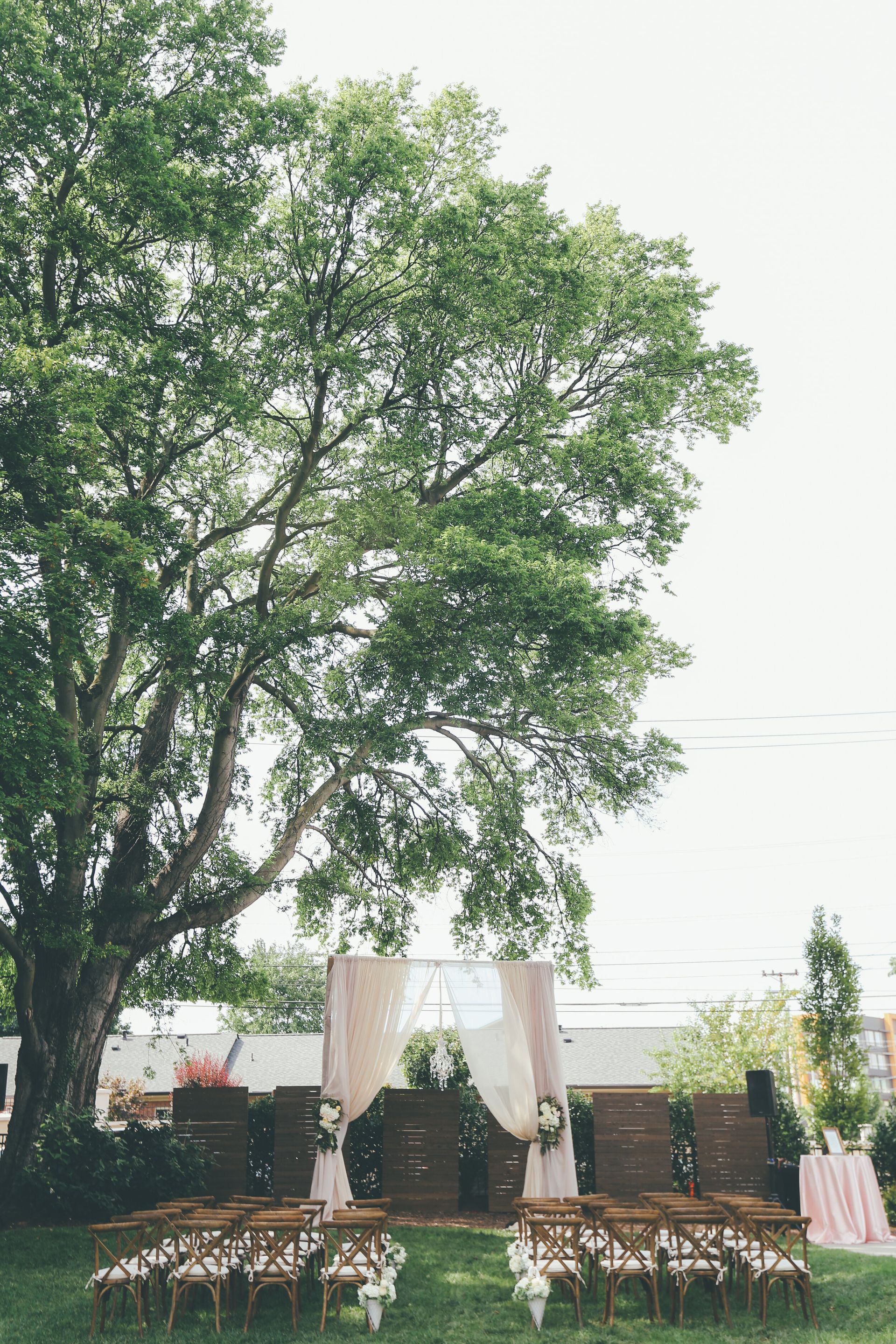 Row of chairs are lined up in front of a large tree for a wedding ceremony by Wedding Planner Nashville