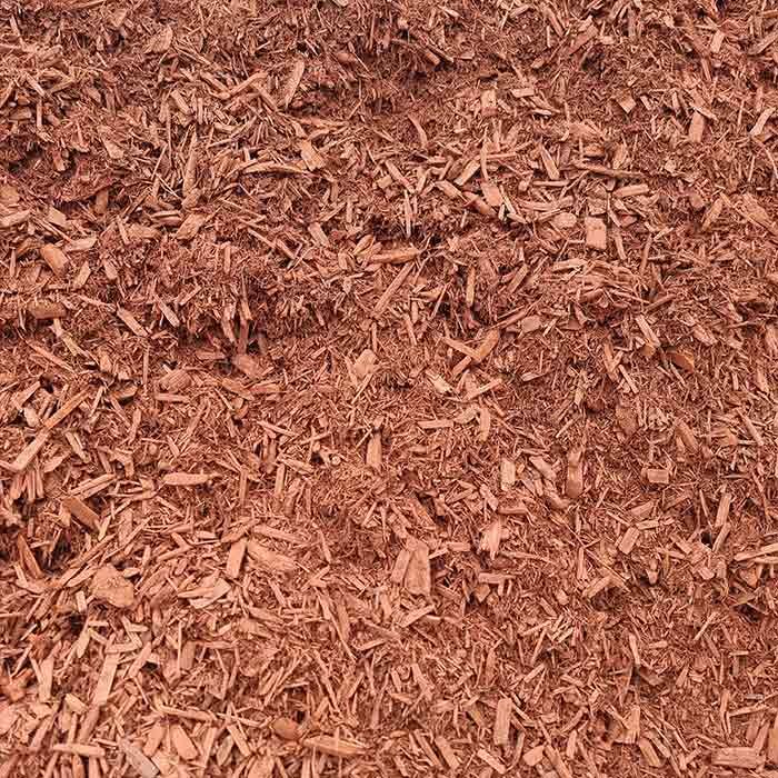 Cypress Red — Beehive Property Maintenance in Emerald, QLD