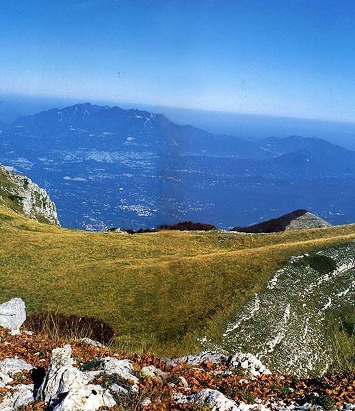 Prato alpino verde con catena montuosa in lontananza sotto un cielo azzurro e nebbioso.