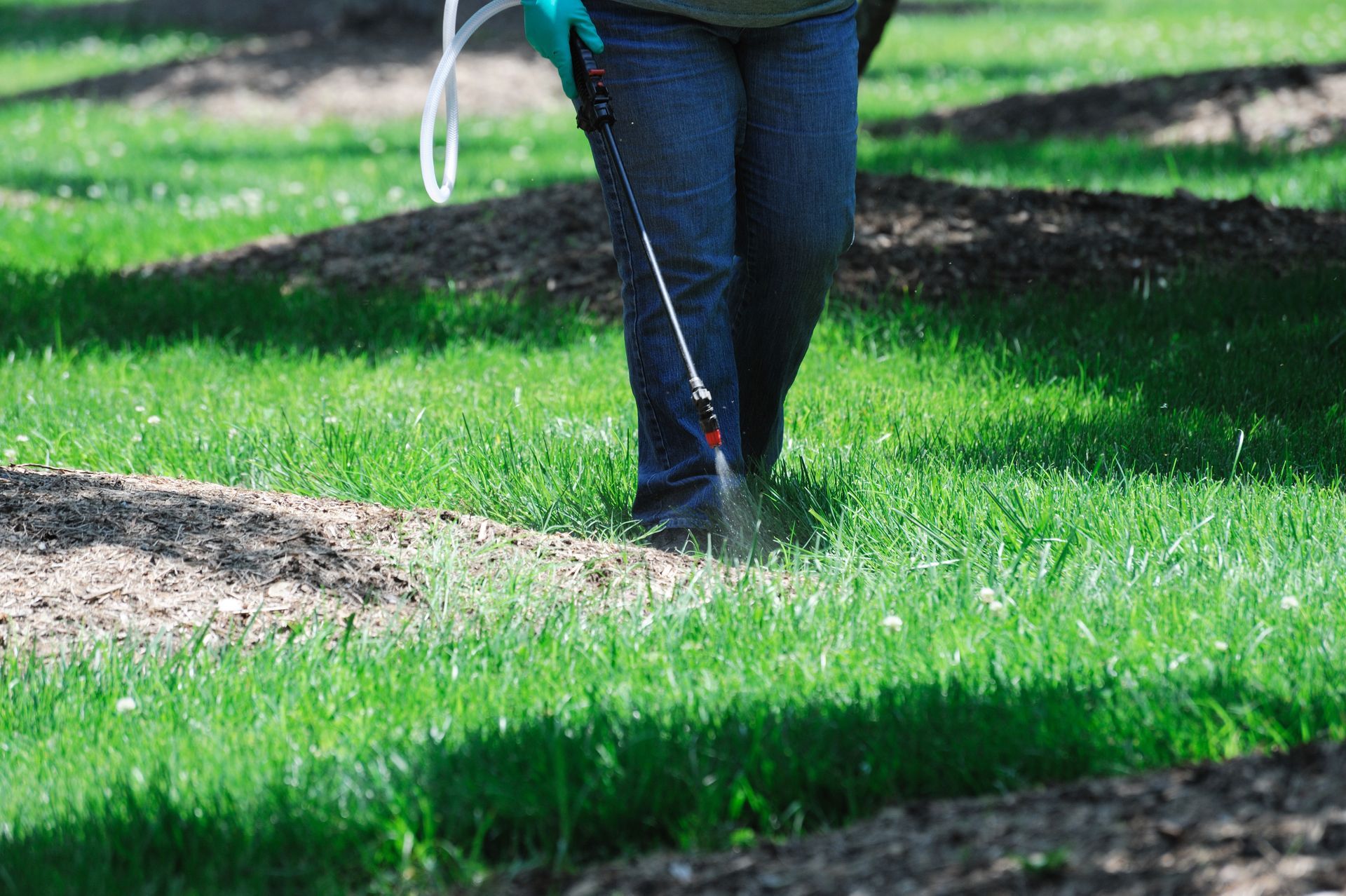 Technician spraying pest control treatment along lawn edge.