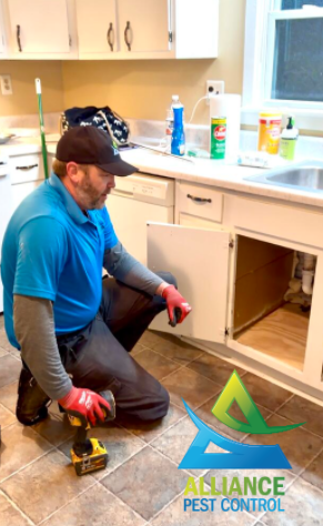 Person spraying disinfectant on tiled floor.