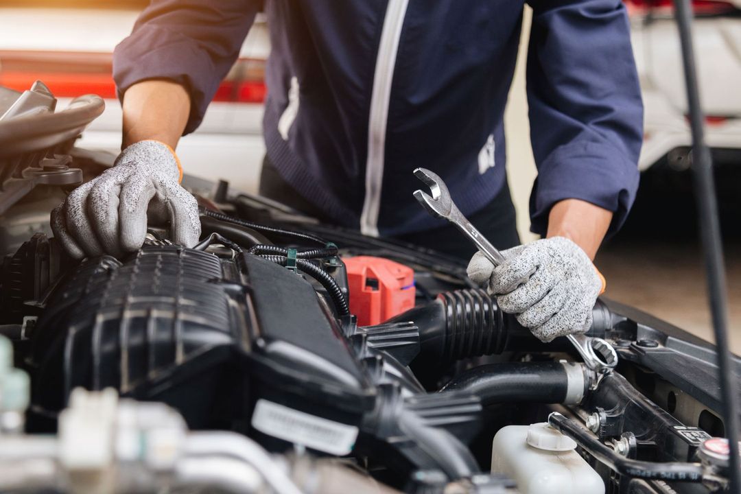 expertos en motores