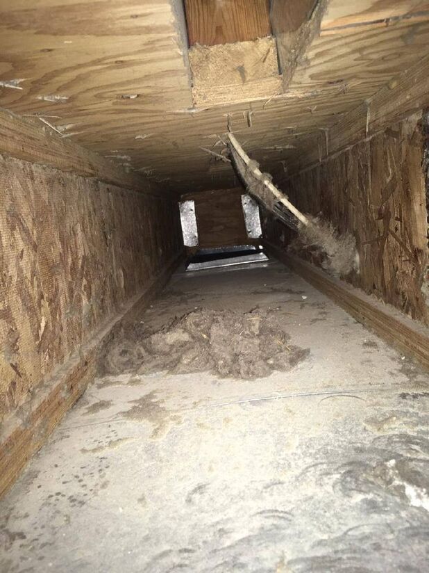 Looking down a wooden tunnel with a lot of dust on the floor.