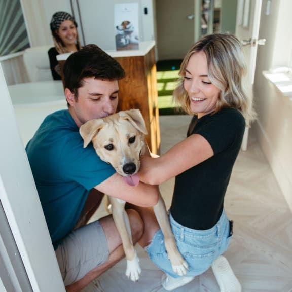 A man and a woman are holding a dog in their arms