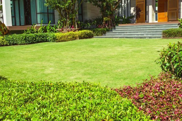 Well-manicured Lawn and Garden in Front of a Modern House — Placid Hills Turf in Withcott, QLD