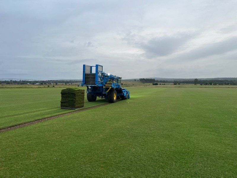 Blue Sod Harvester Cuts and Stacks Turf on a Green Field Under an Overcast Sky — Placid Hills Turf in Withcott, QLD