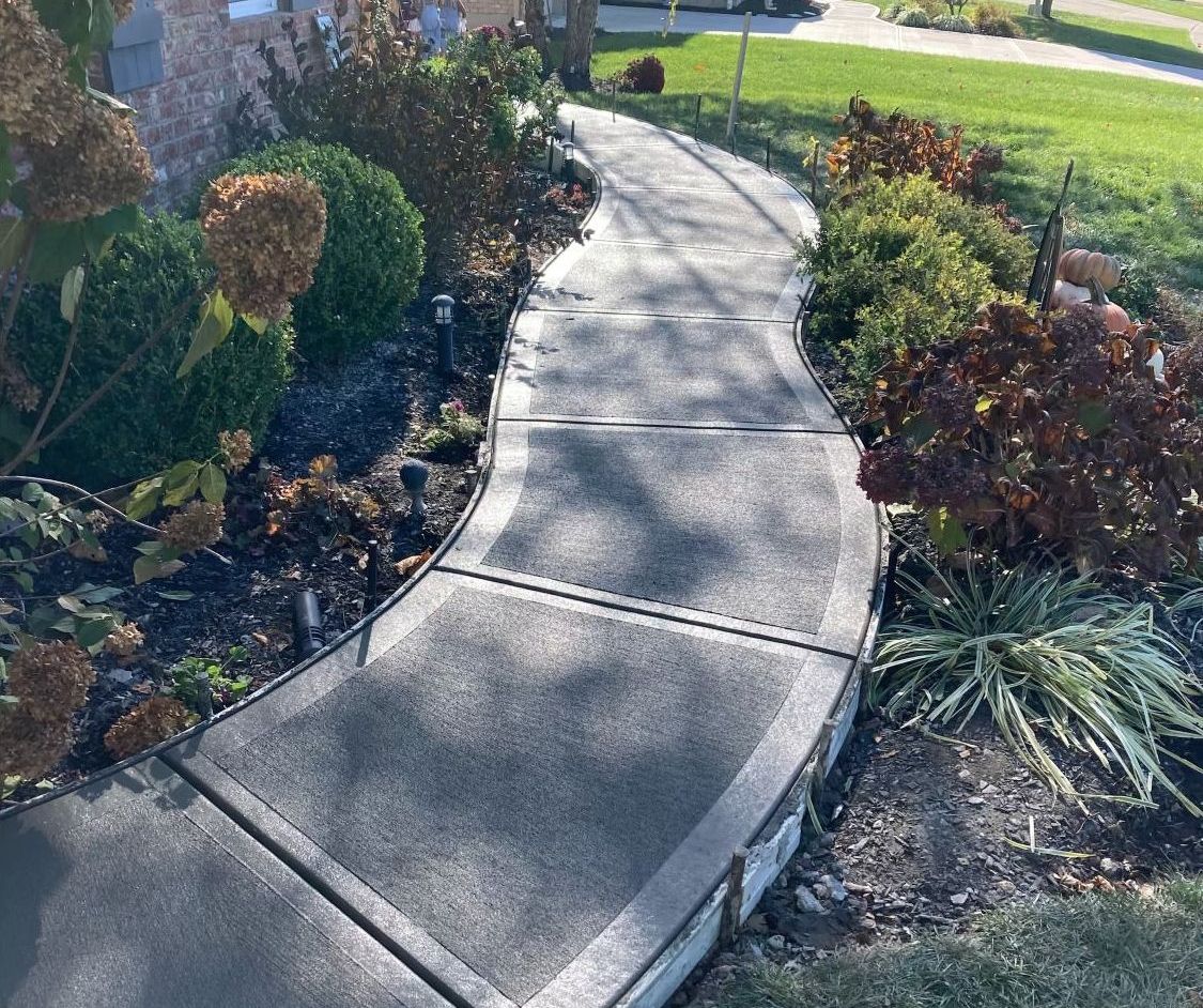 A curved concrete walkway surrounded by plants and bushes.