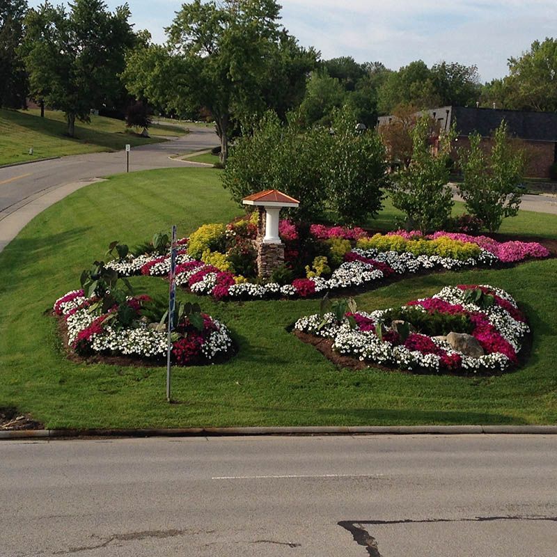 A garden with flowers in the shape of the number 50