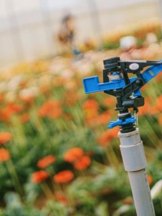 A close up of a sprinkler in a garden with flowers in the background.