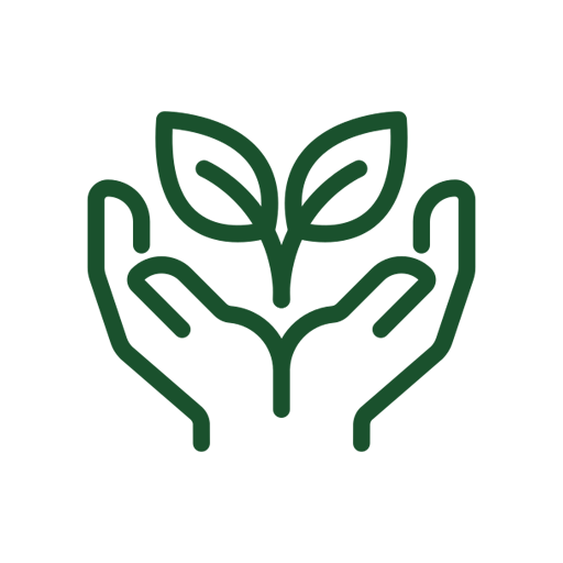 A pair of hands holding a plant with leaves.