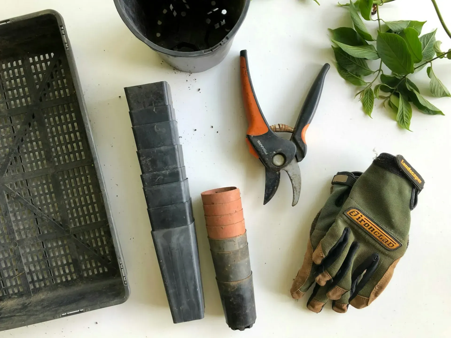 A pair of gloves and a pair of scissors are sitting on a table.