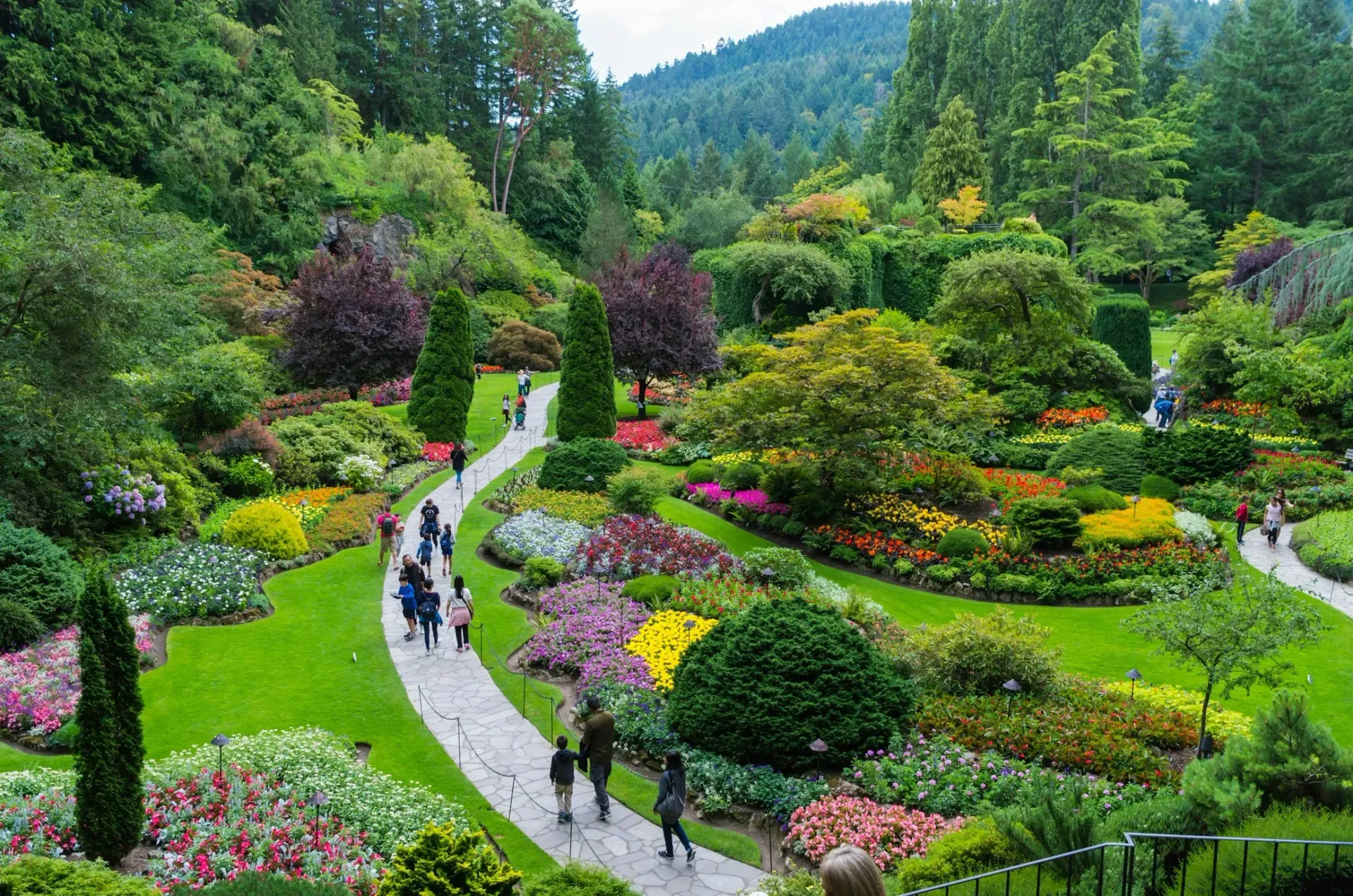 A group of people are walking through a lush green garden.