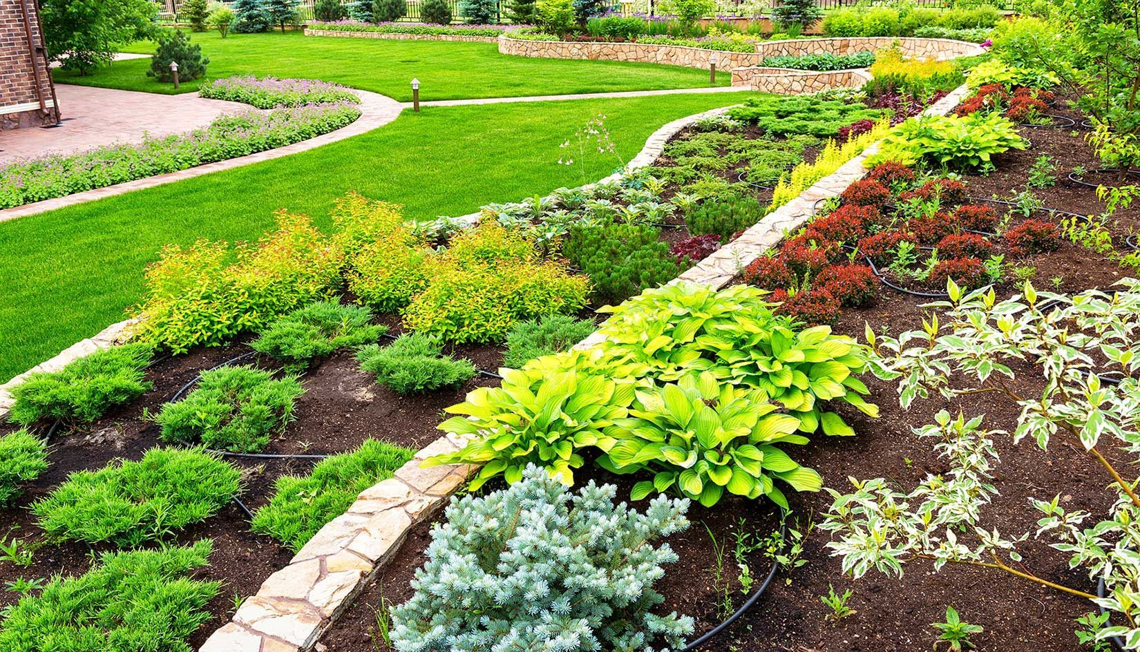 A garden filled with lots of different types of plants and flowers.