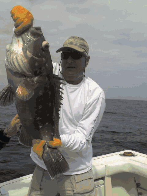 A man is holding a large fish on a boat