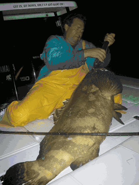 A man is sitting on a boat holding a large fish