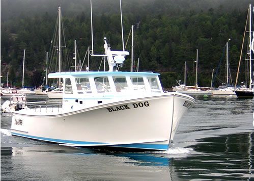 A boat with the name black dog on it