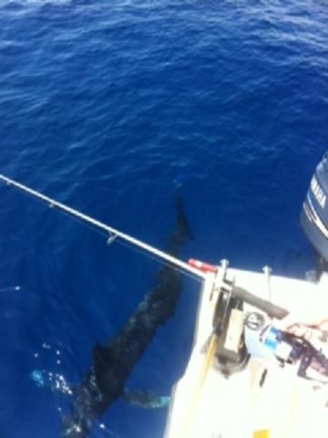 A boat with a yamaha outboard motor is in the ocean