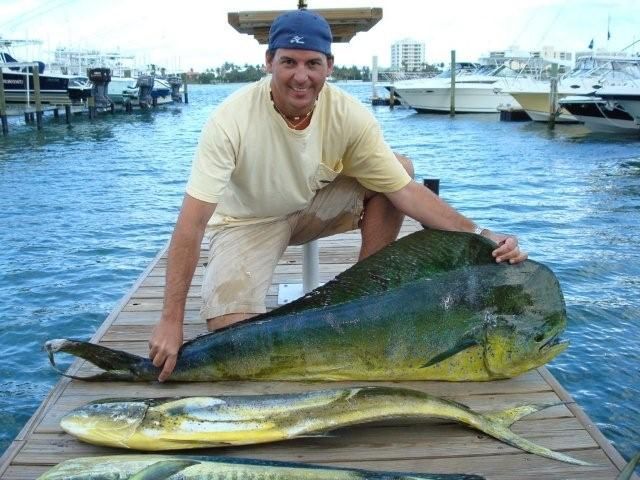 A man is kneeling on a dock holding a large fish