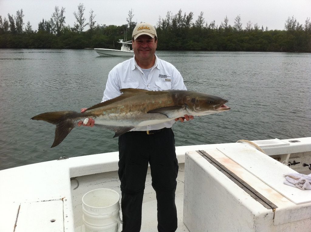 A man is holding a large fish on a boat