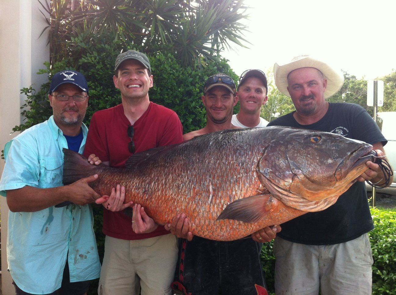 a group of men holding a very large fish