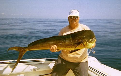 A man on a boat holding a large fish