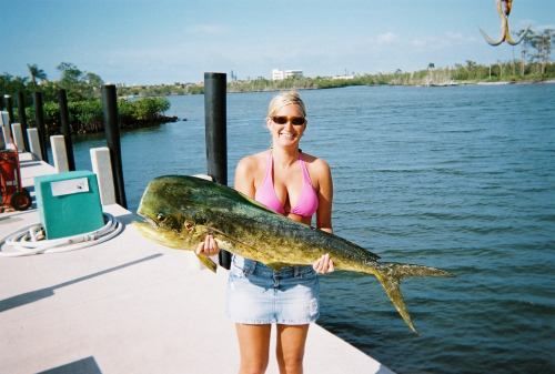 A woman in a pink bikini is holding a large fish on a dock