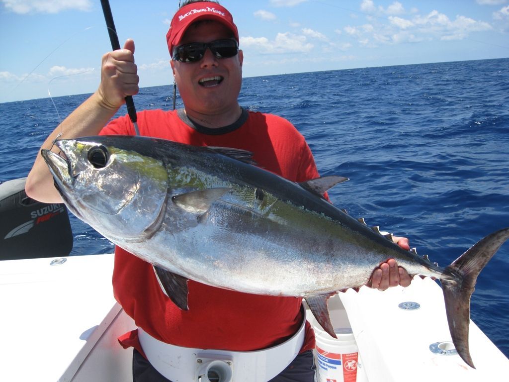 A man in a red shirt is holding a large fish