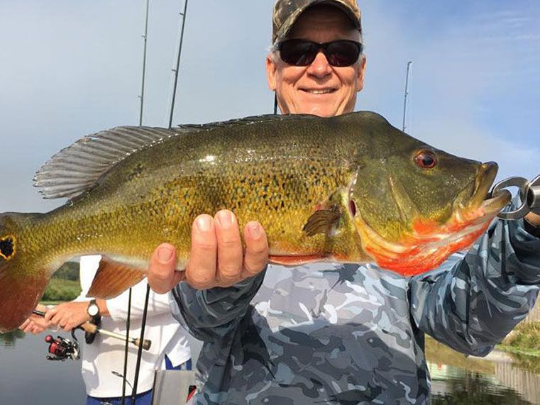 A man is holding a large fish in his hands.