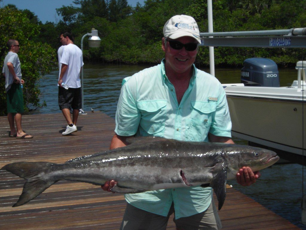A man is holding a large fish on a dock
