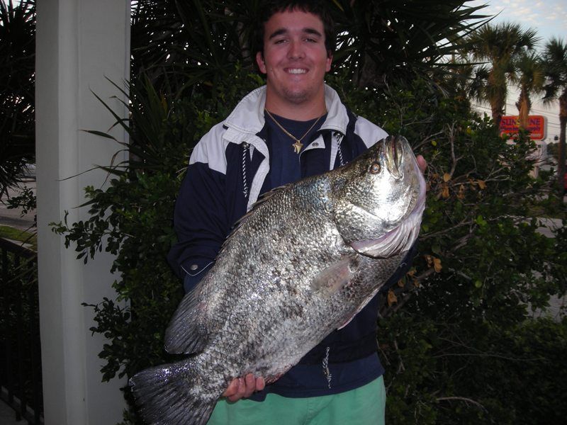 A man is holding a large fish in his hands