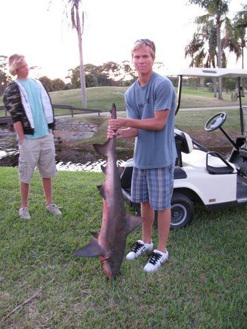 A man is holding a large shark in front of a golf cart