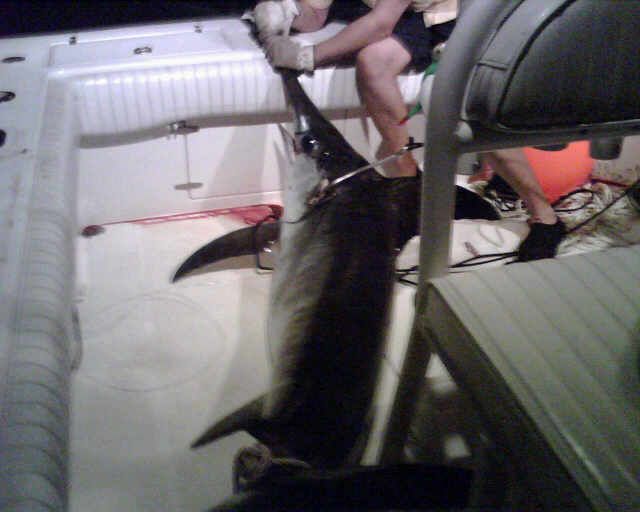 A man is sitting on a chair next to a large fish