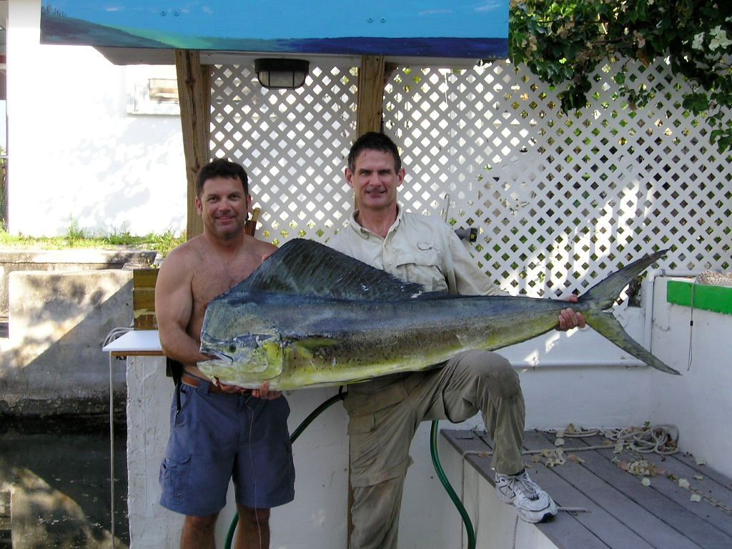 Two men standing next to each other holding a large fish