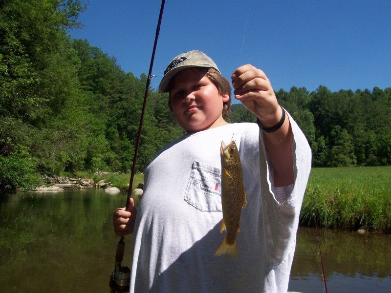 A young boy is holding a small fish in his hand