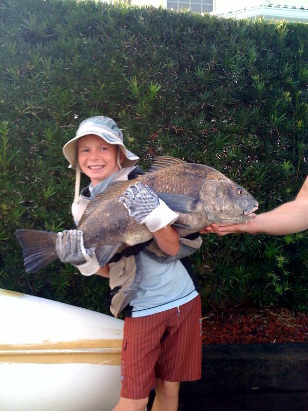 A young boy is holding a large fish in his hands