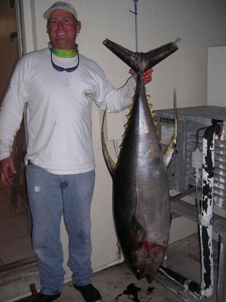 A man in a white shirt is holding a large fish
