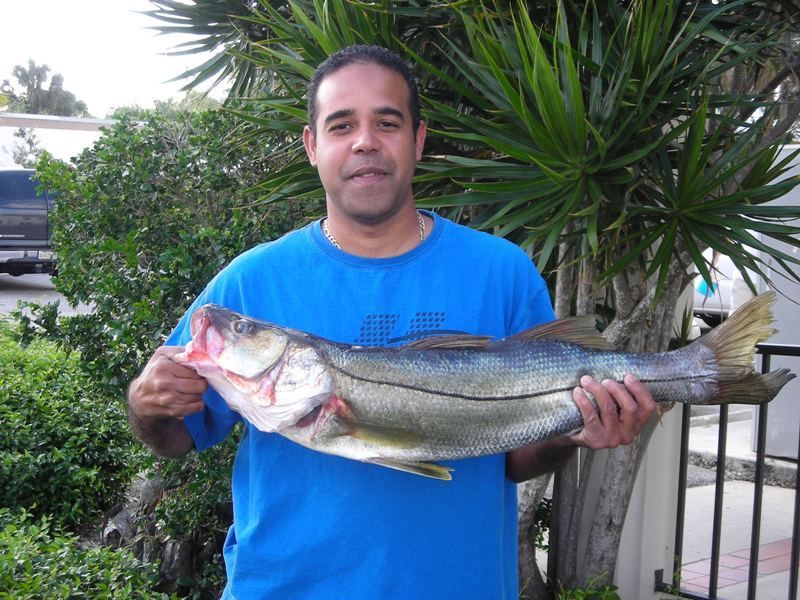 A man in a blue shirt is holding a large fish