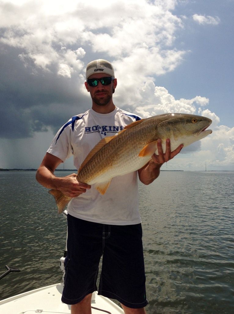 A man on a boat holds a large fish in his hands