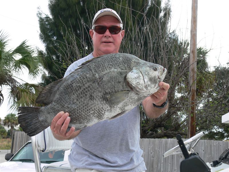 A man is holding a large fish in his hands