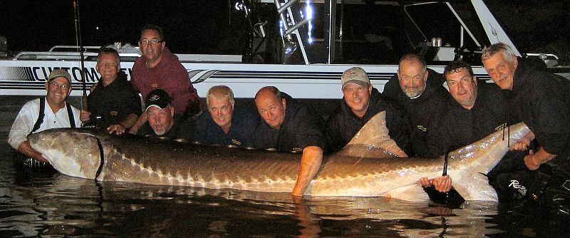 A group of men holding a large fish in the water